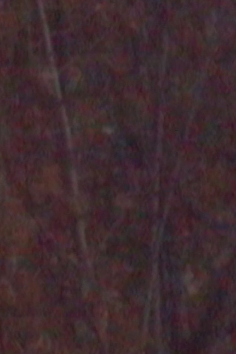 Poster of November