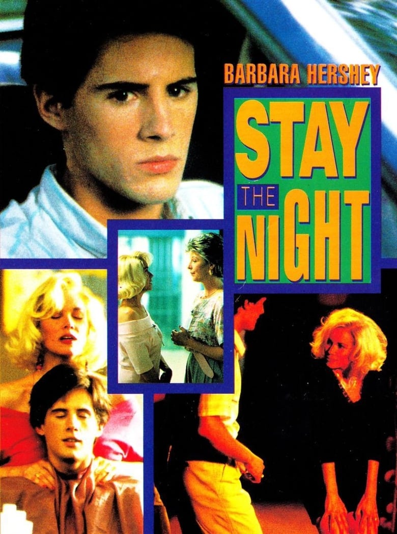 Poster of Stay the Night