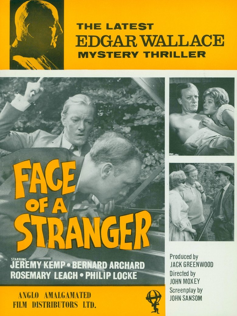 Poster of Face of a Stranger