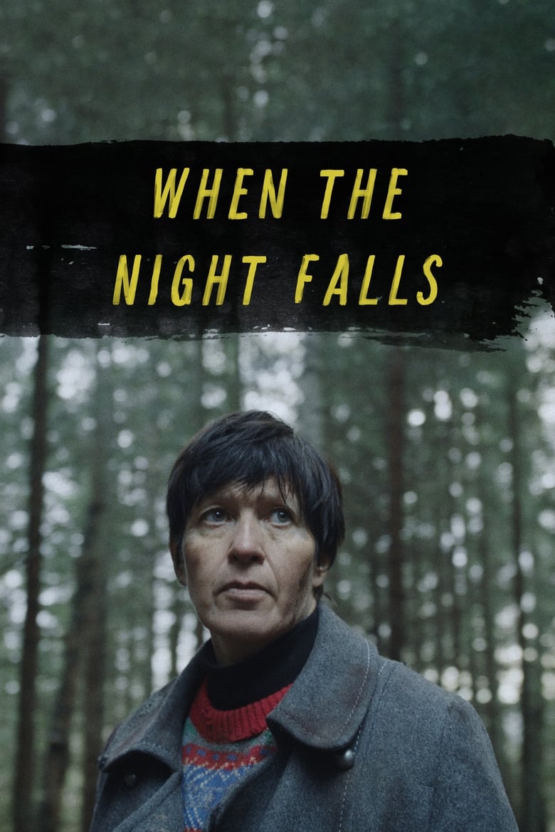 Poster of When the Night Falls