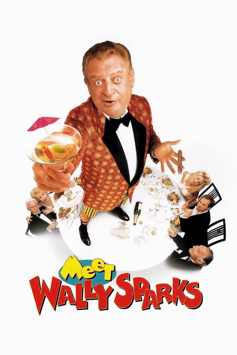 Poster of Meet Wally Sparks
