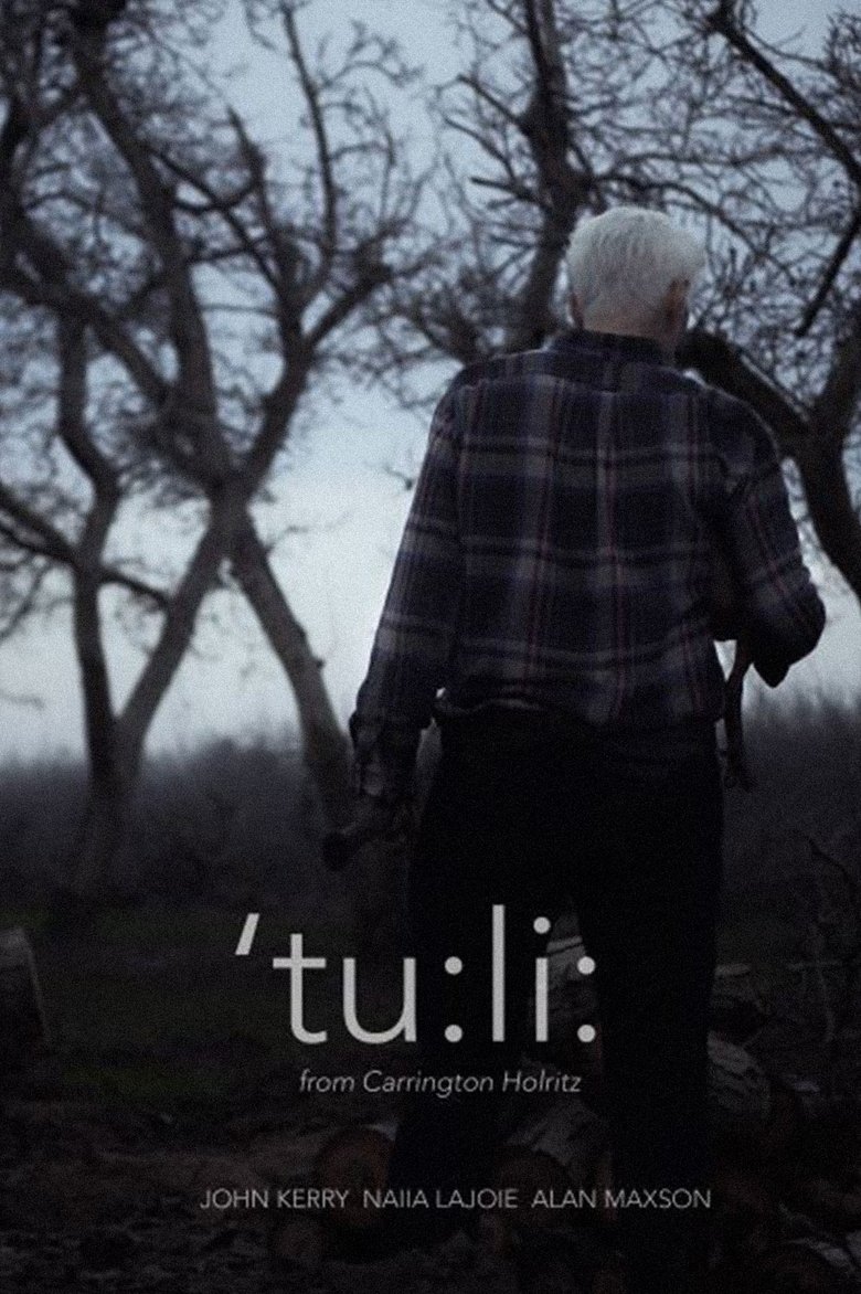 Poster of ‘tu:li: