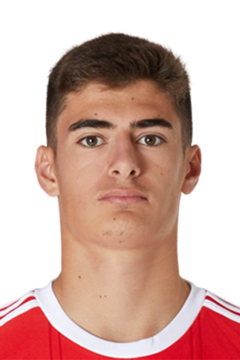 Portrait of António Silva