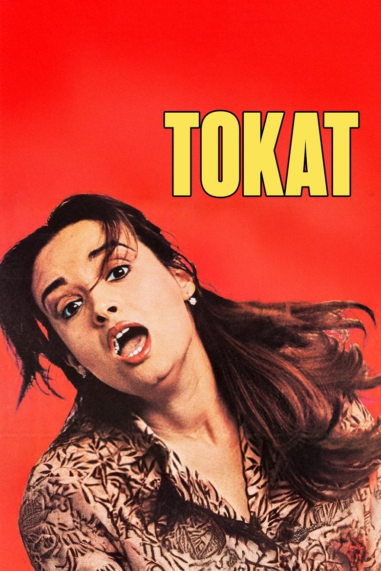 Poster of Tokat