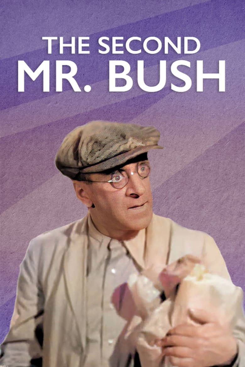 Poster of The Second Mr. Bush