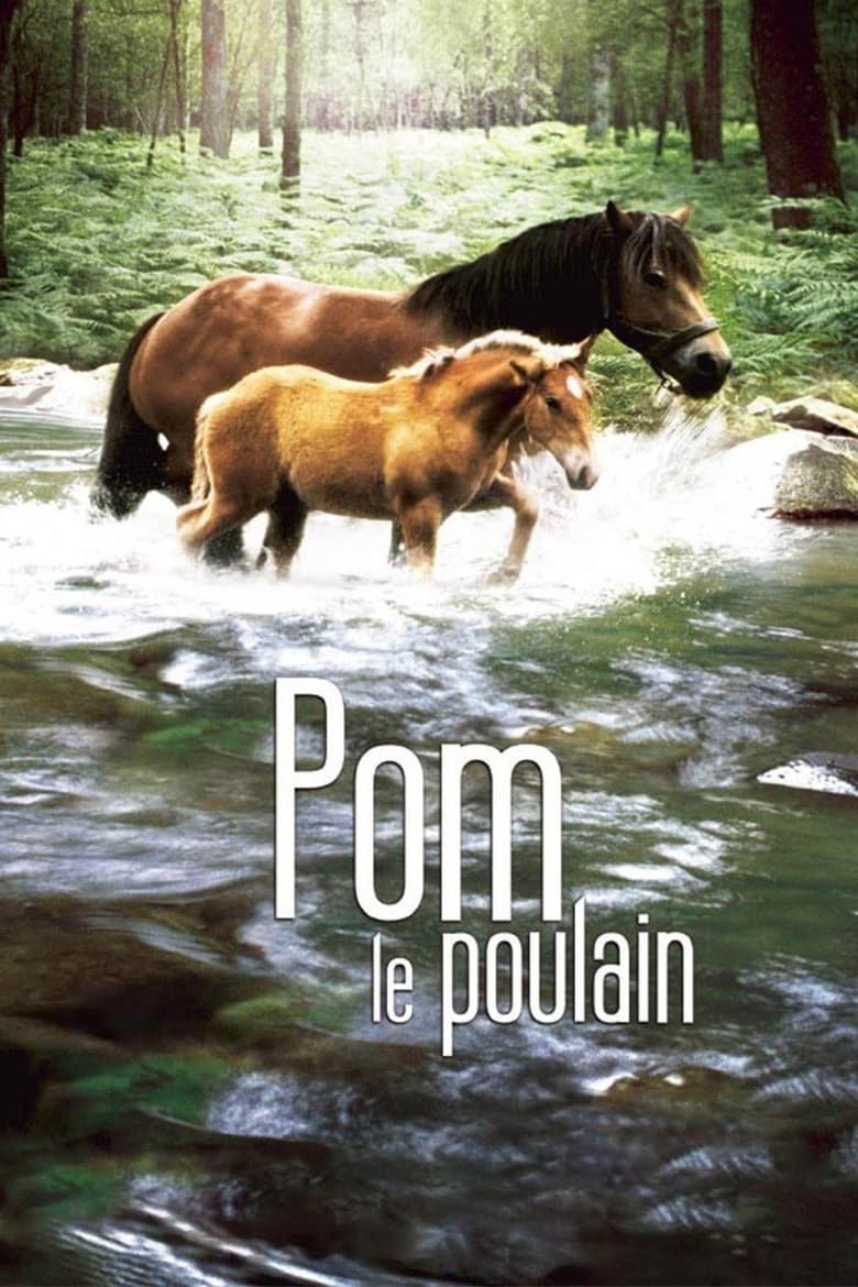 Poster of Pom, le poulain