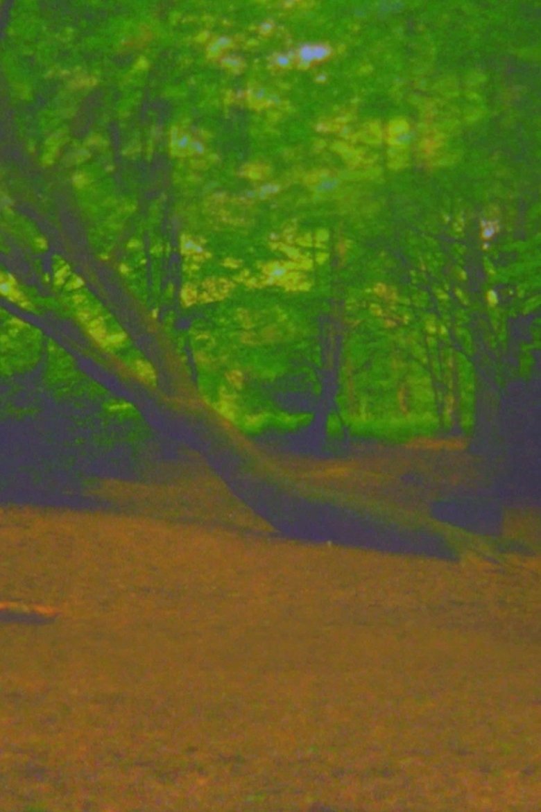 Poster of Fuck Tree