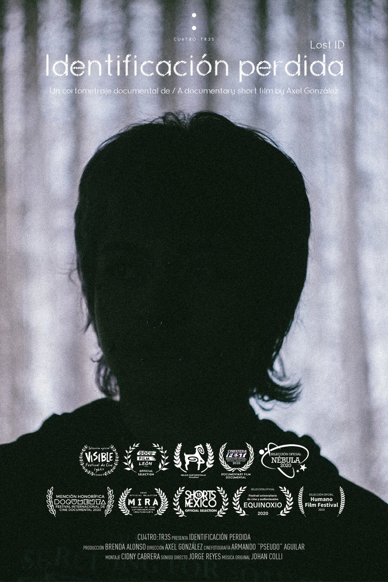 Poster of Lost ID