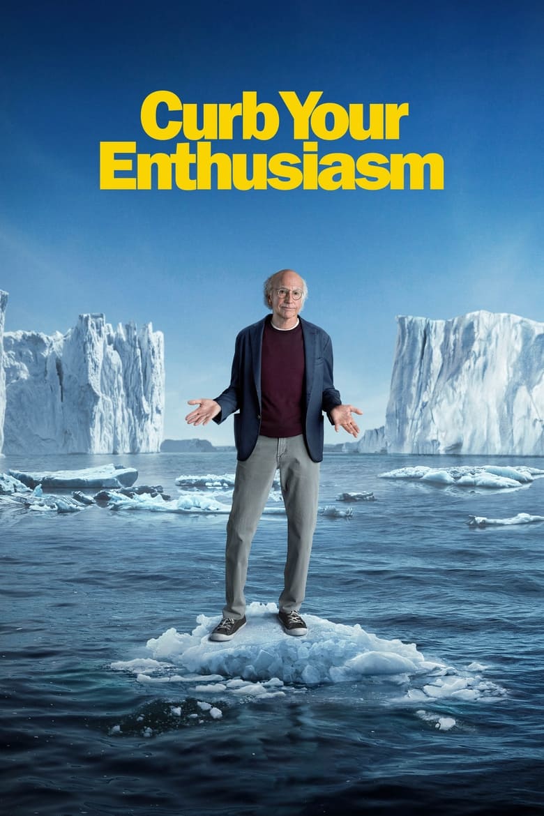 Poster of Curb Your Enthusiasm