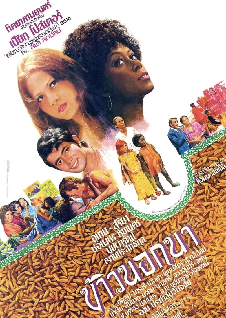 Poster of The American Surplus