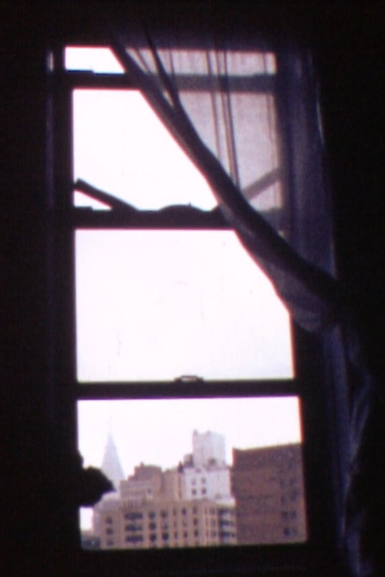 Poster of Windows
