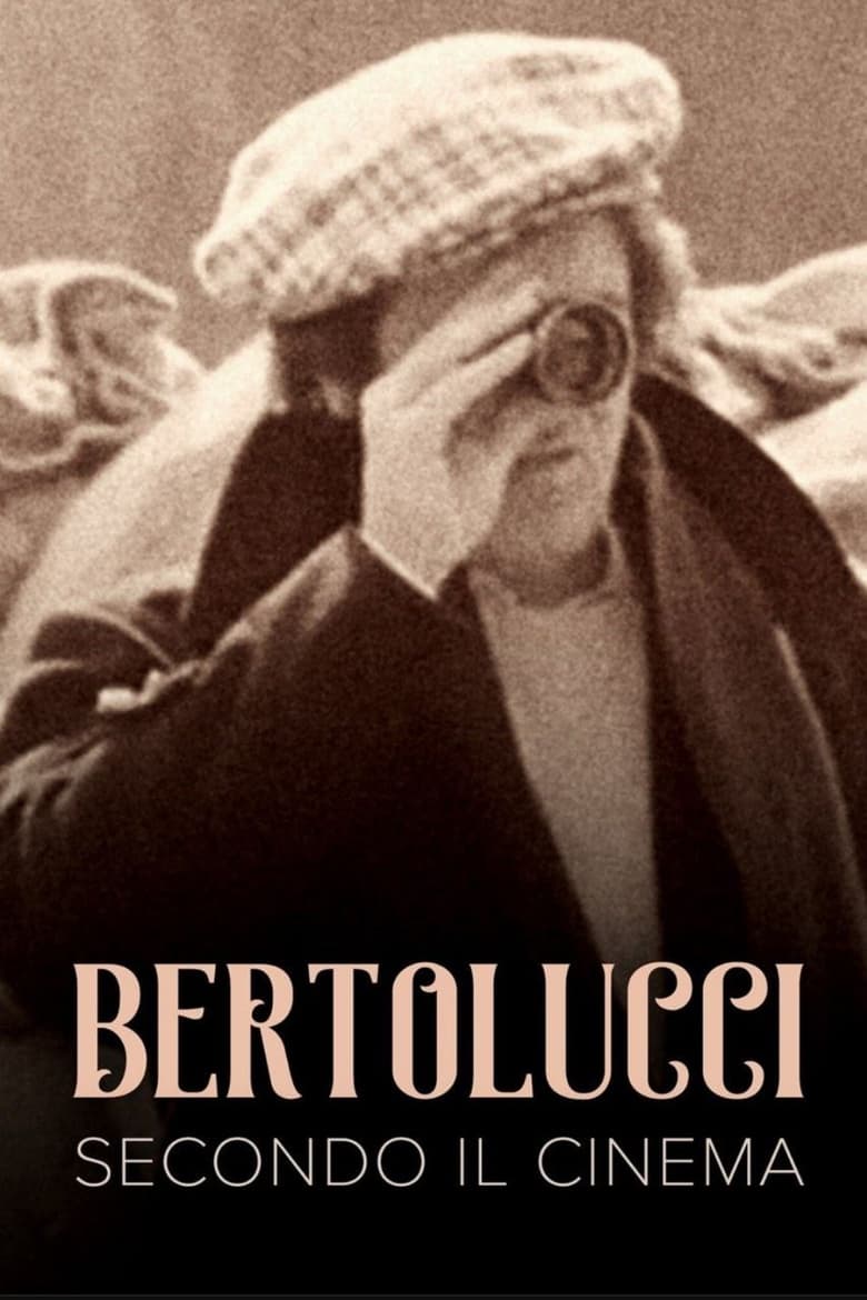 Poster of The Cinema According to Bertolucci