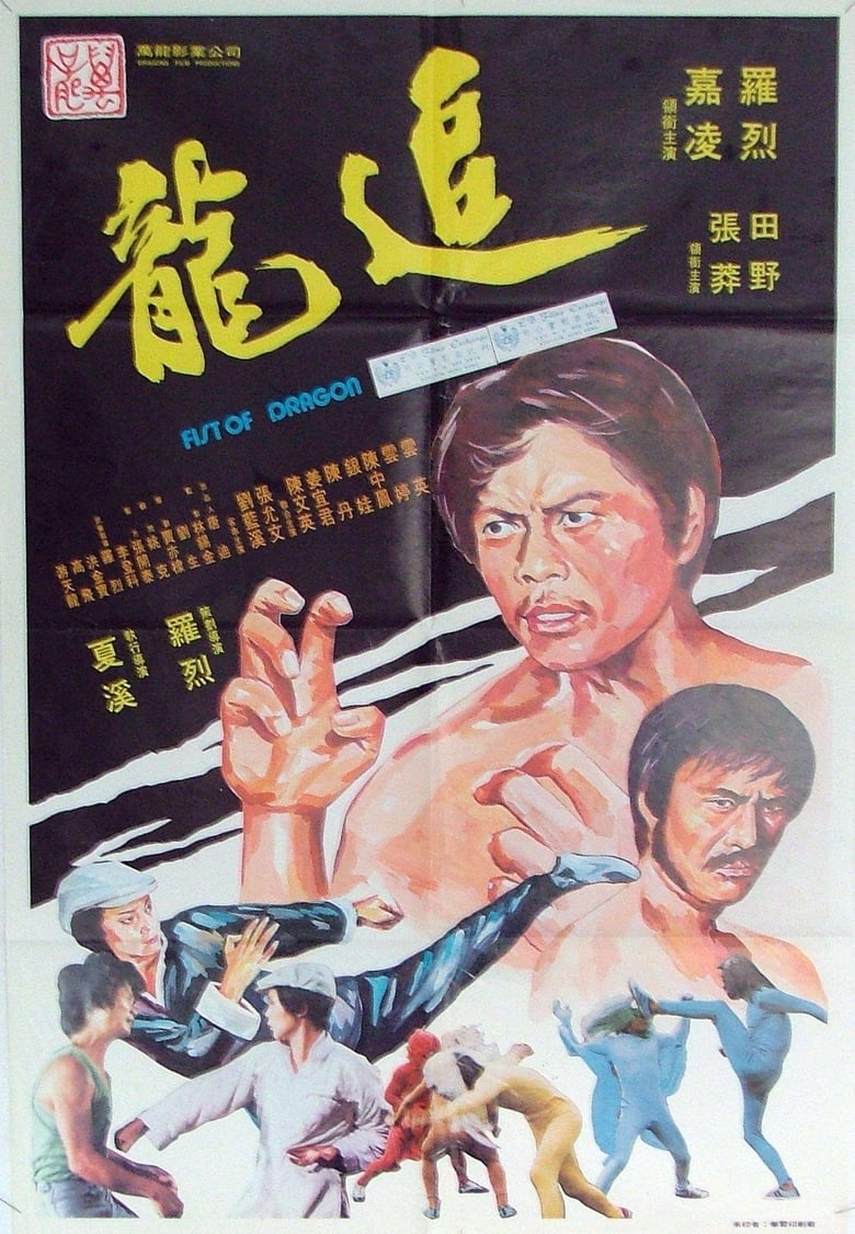 Poster of Fist of Dragon
