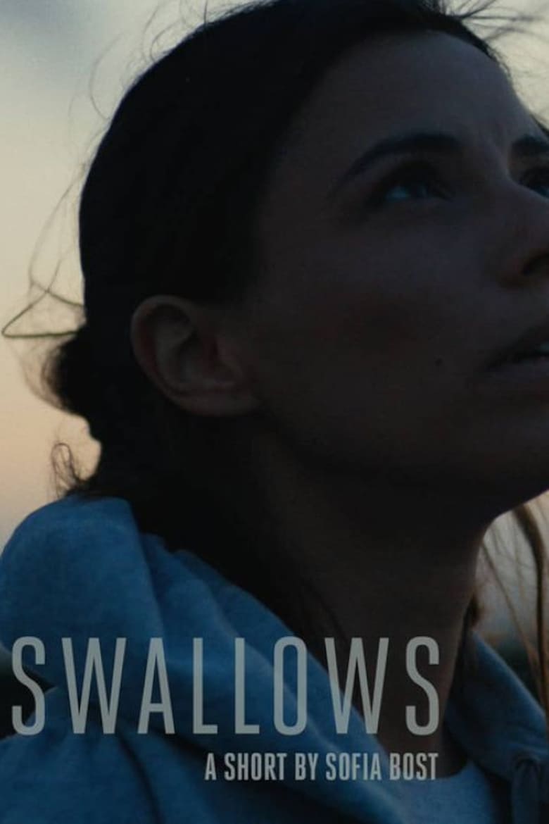 Poster of Swallows