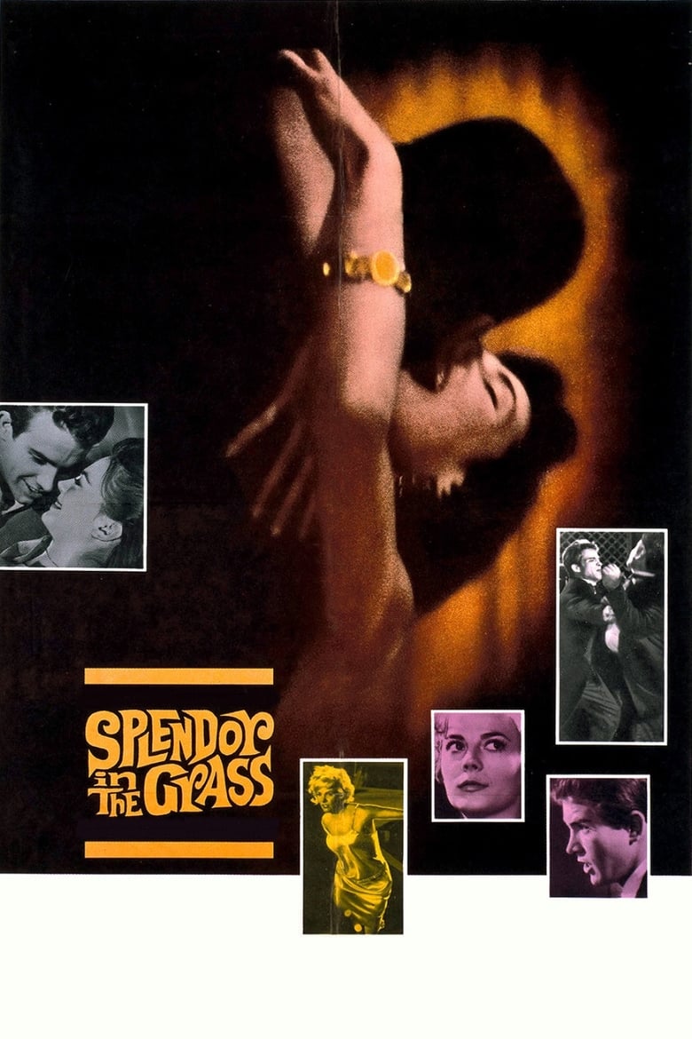 Poster of Splendor in the Grass