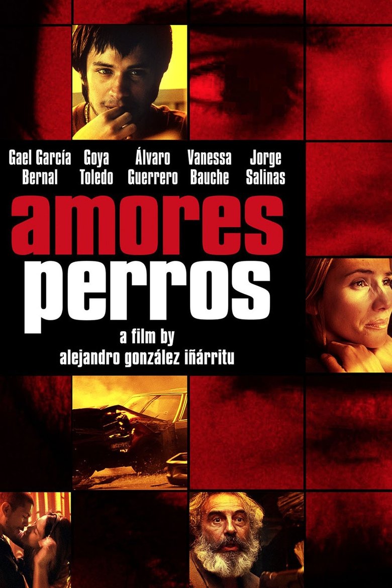 Poster of Amores Perros