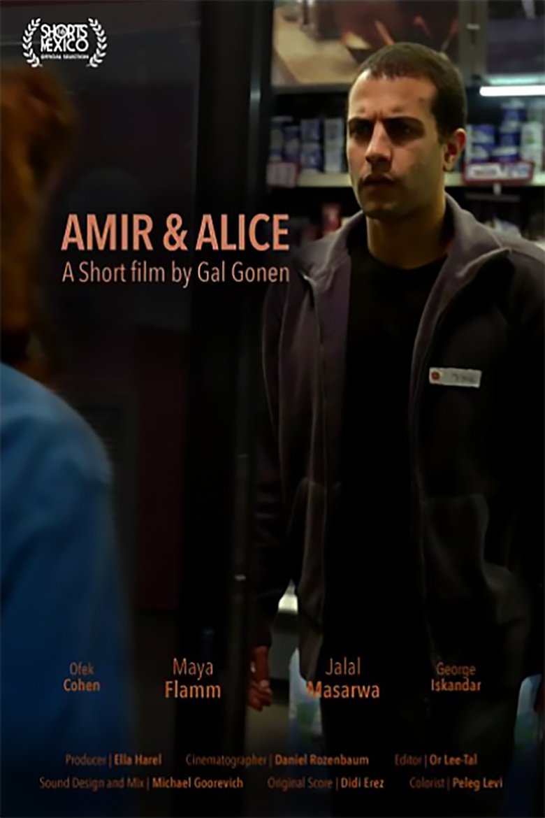 Poster of Amir & Alice