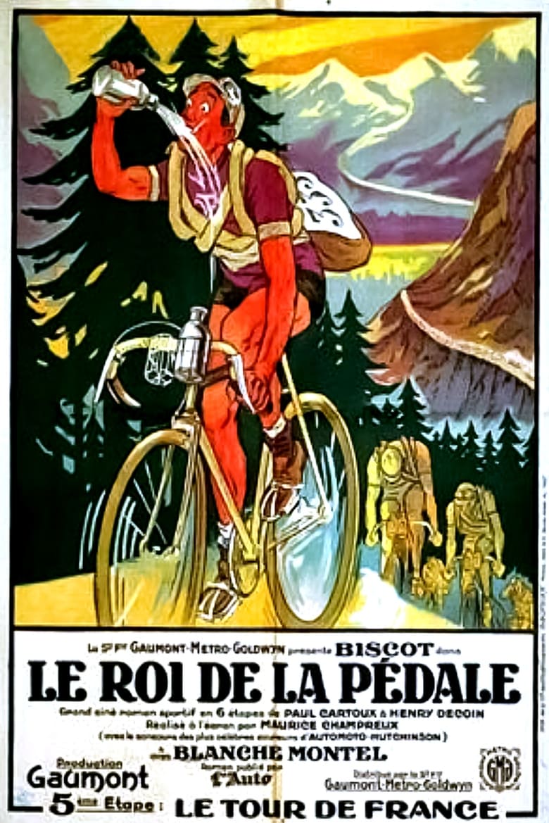 Poster of The Race for Love