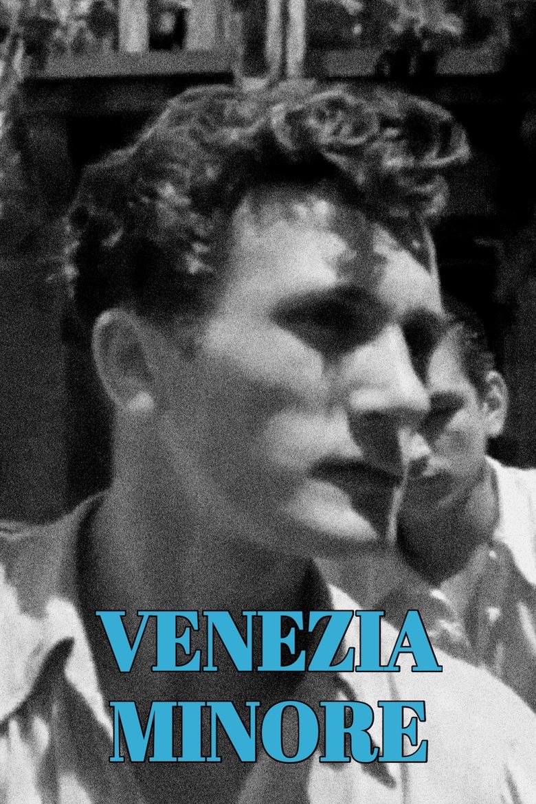 Poster of Venezia Minore