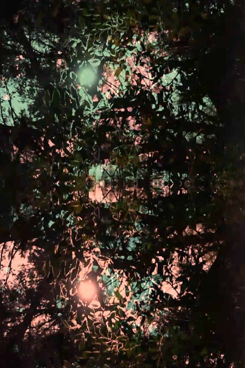 Poster of Imitation of light