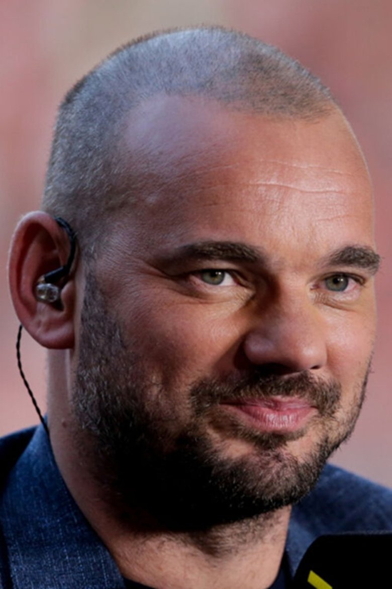 Portrait of Wesley Sneijder