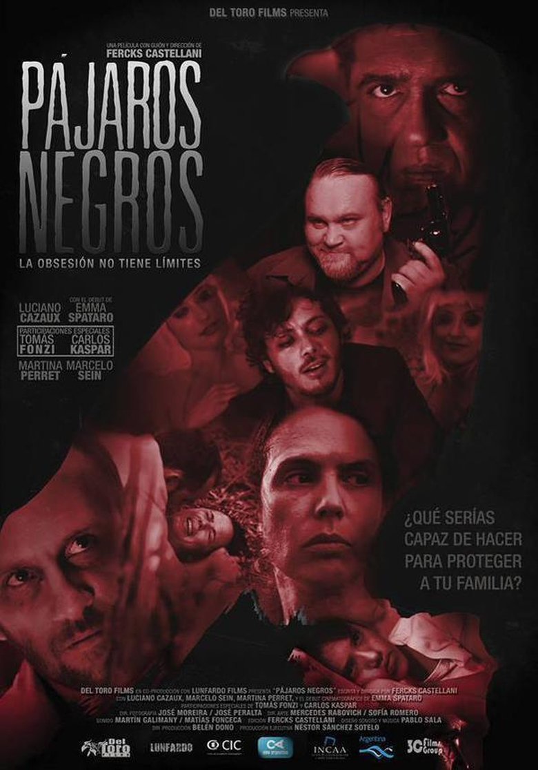 Poster of Pájaros negros