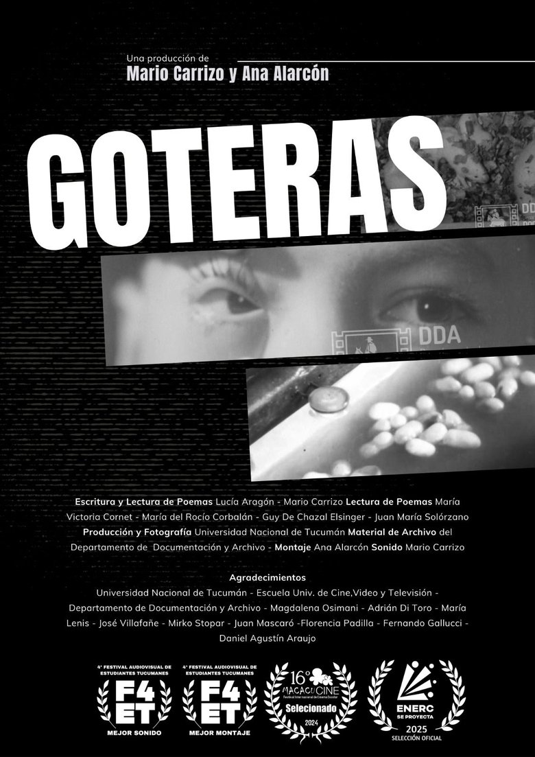 Poster of Goteras