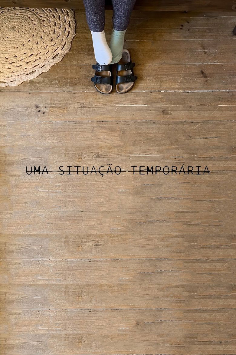 Poster of A Temporary Situation