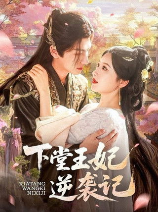 Poster of 下堂王妃逆袭记