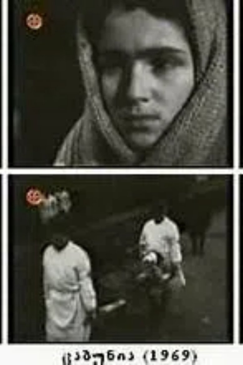 Poster of ცაბუნია