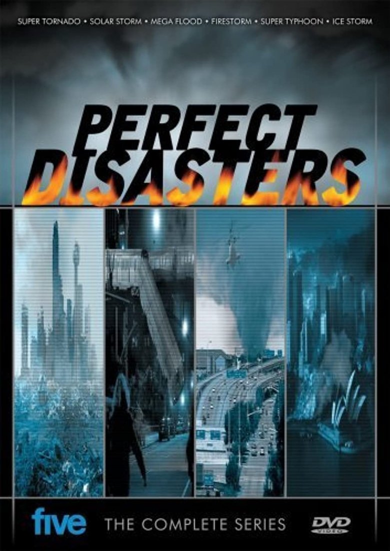 Poster of Perfect Disaster