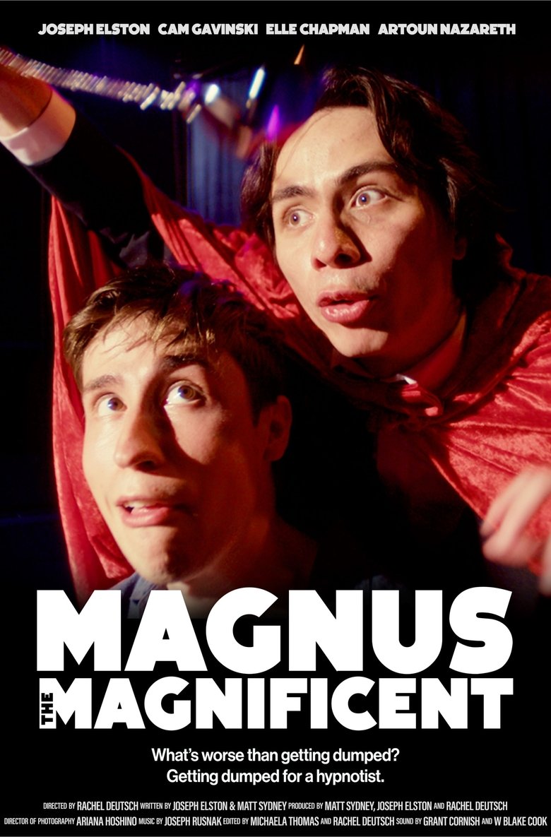 Poster of Magnus the Magnificent