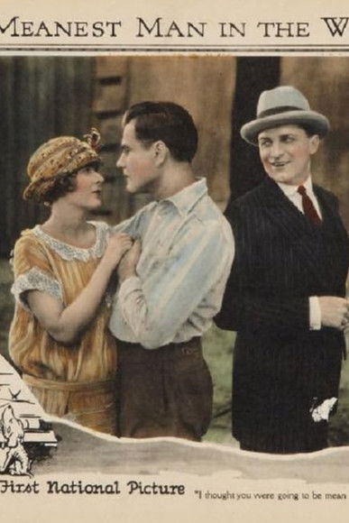 Poster of The Meanest Man in the World