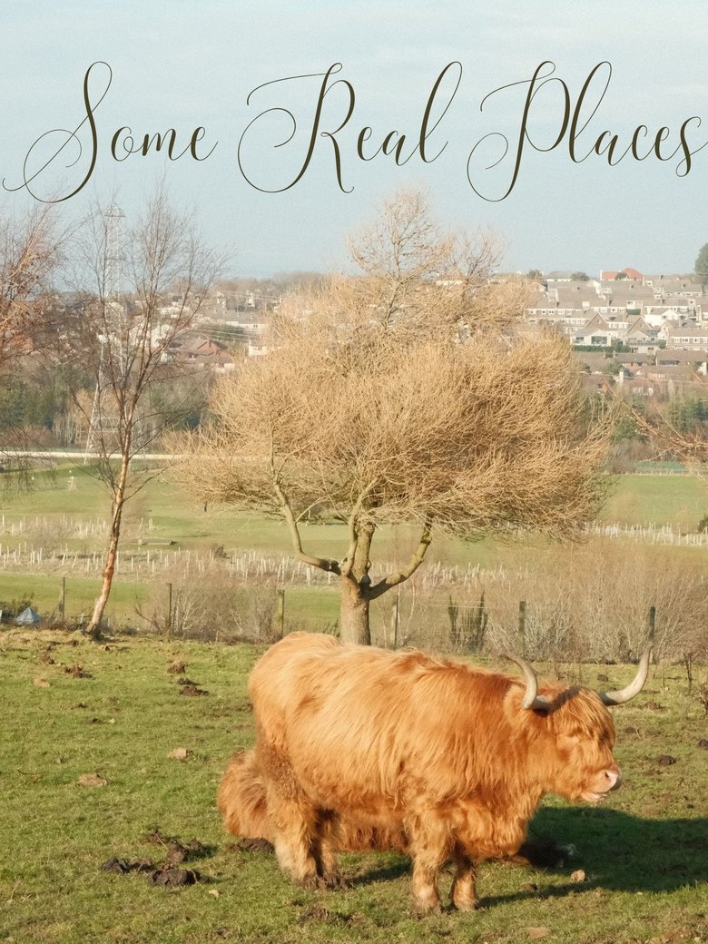 Poster of Some Real Places