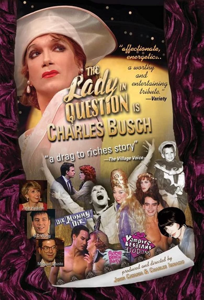Poster of The Lady in Question Is Charles Busch