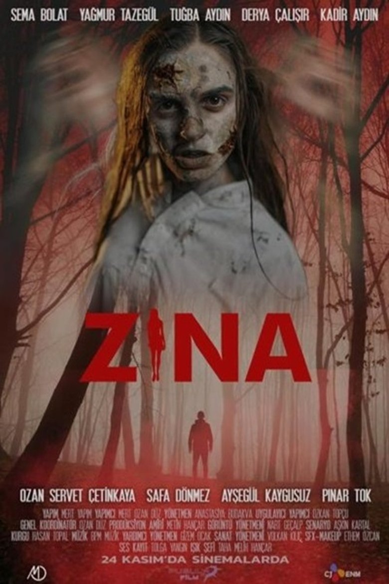 Poster of Zina