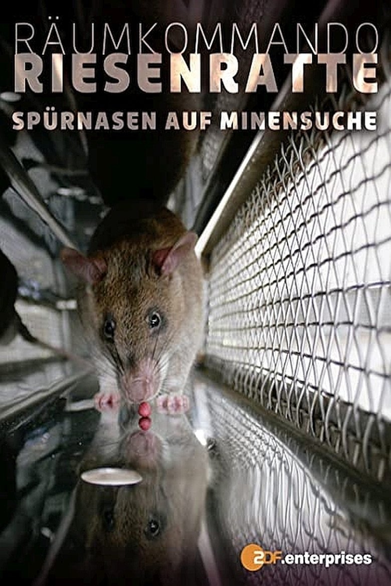 Poster of Räumkommando Riesenratte - Spürnasen auf Minensuche
