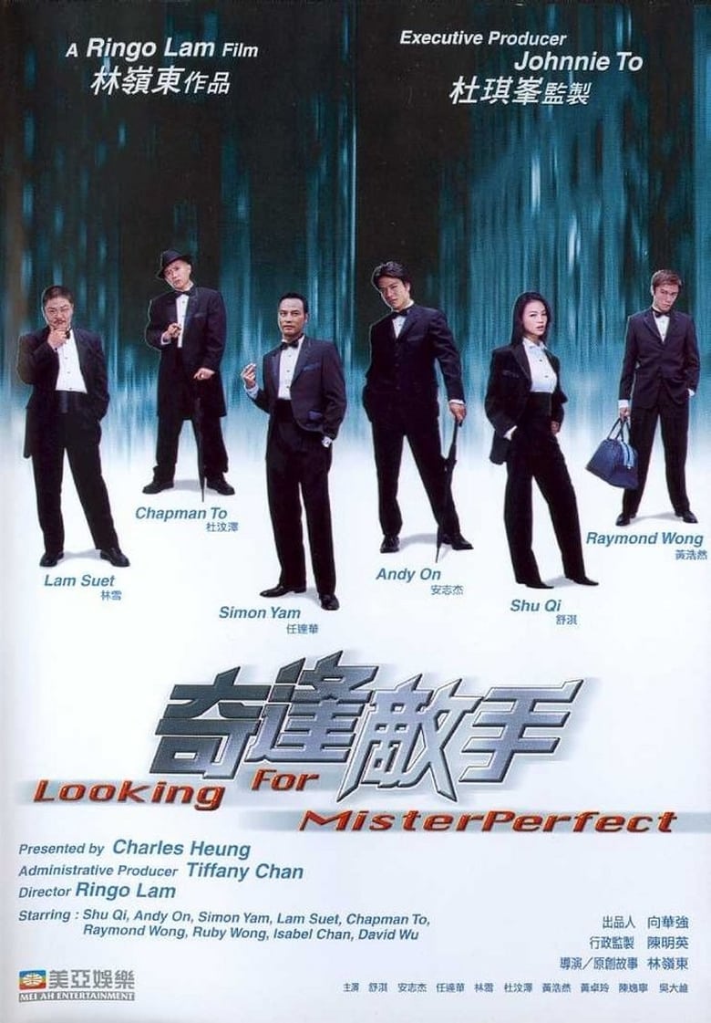 Poster of Looking for Mr. Perfect