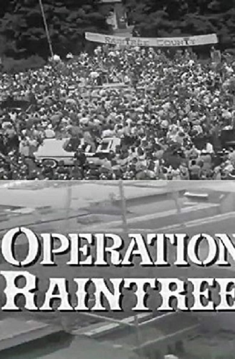 Poster of Operation Raintree