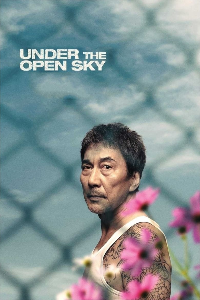 Poster of Under the Open Sky