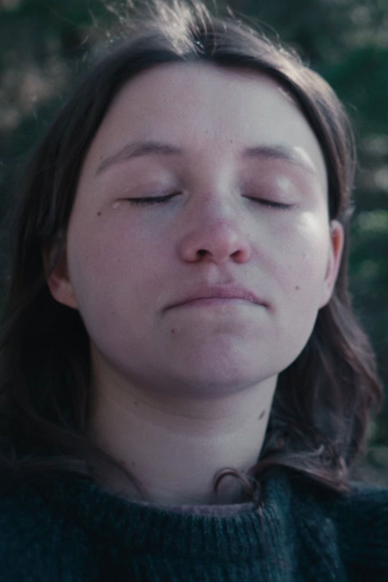 Poster of aurora