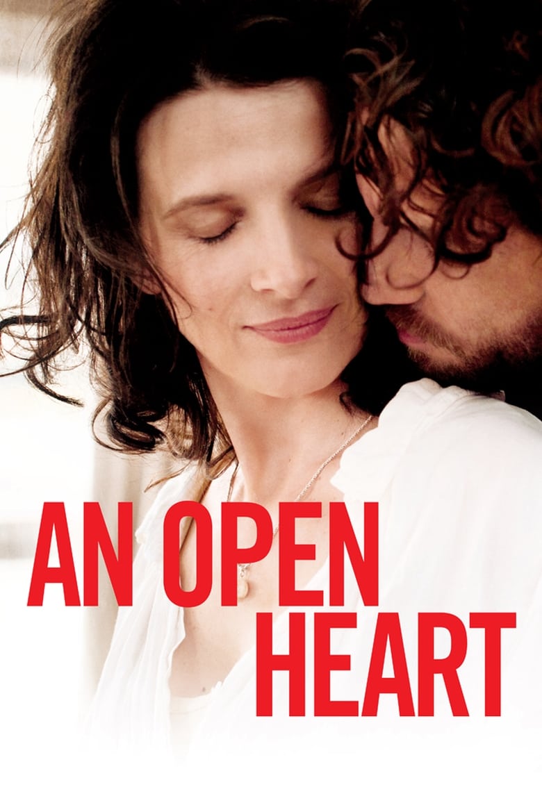 Poster of An Open Heart