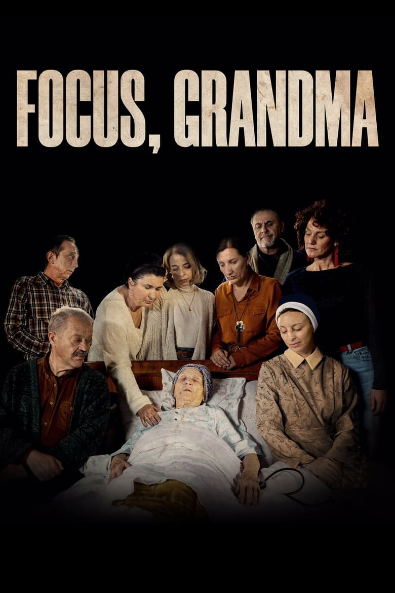 Poster of Focus, Grandma