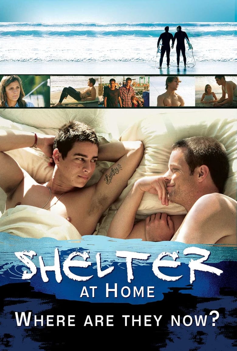 Poster of Shelter at Home: Where Are They Now?