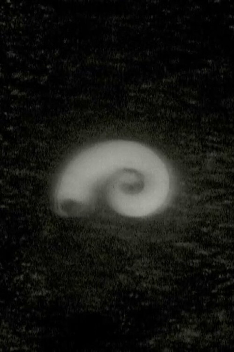 Poster of I Found Water