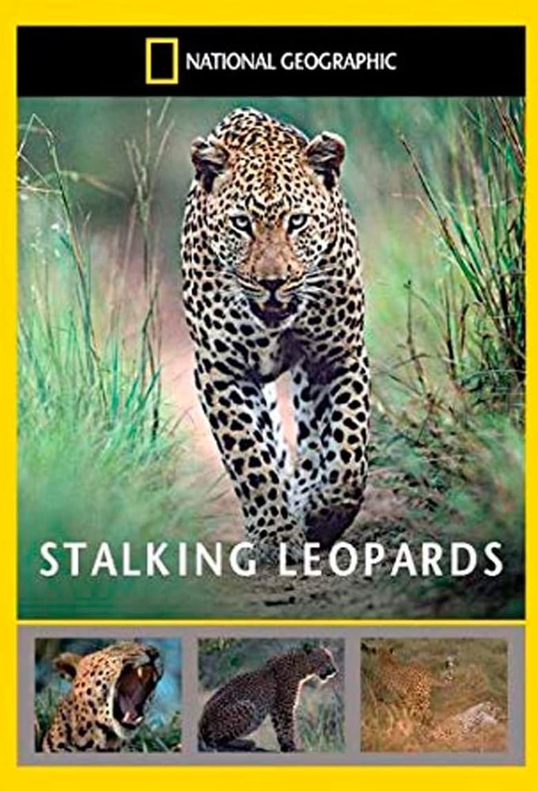 Poster of Stalking Leopards
