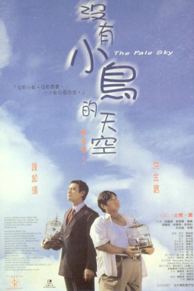 Poster of The Pale Sky