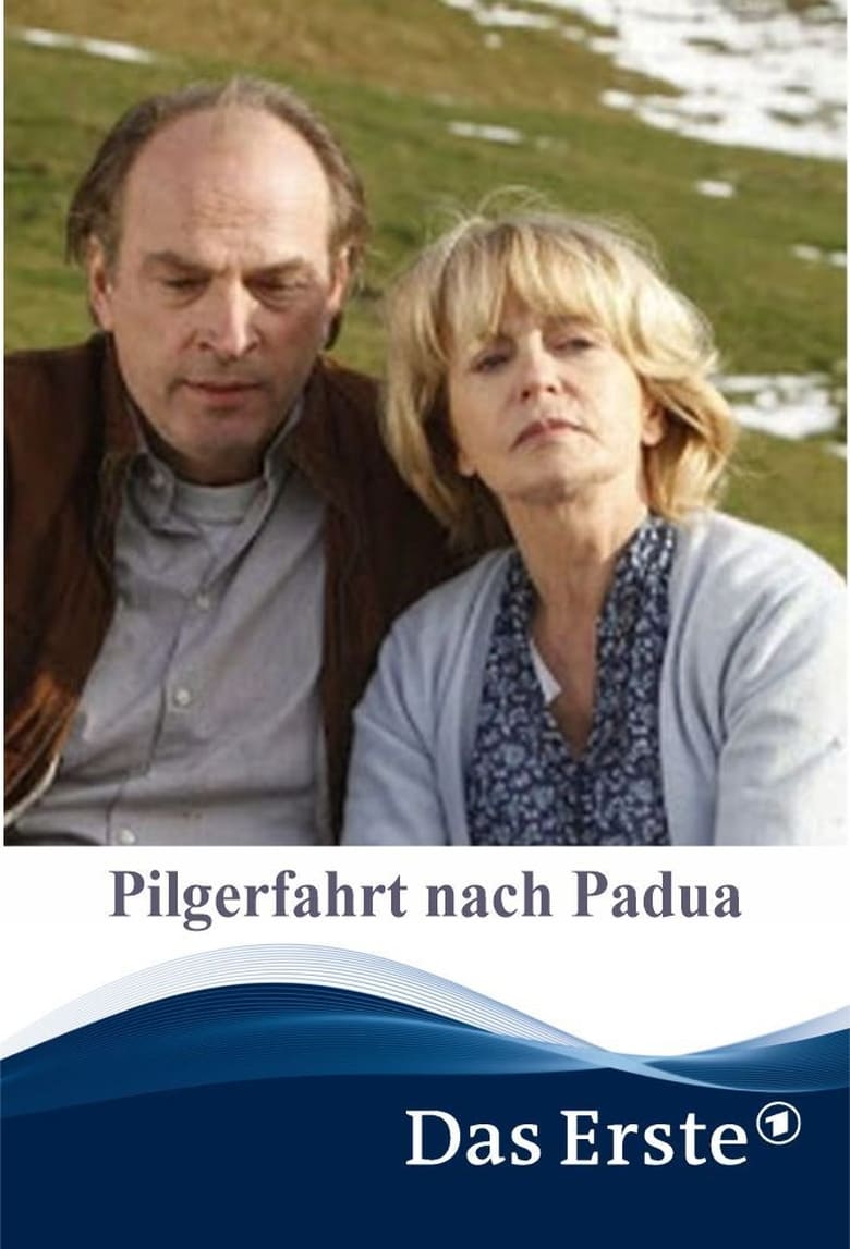 Poster of Pilgerfahrt nach Padua