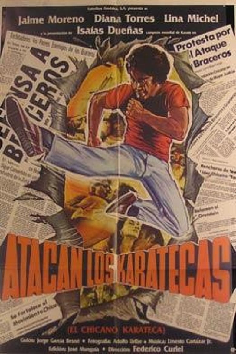 Poster of Atacan los karatecas