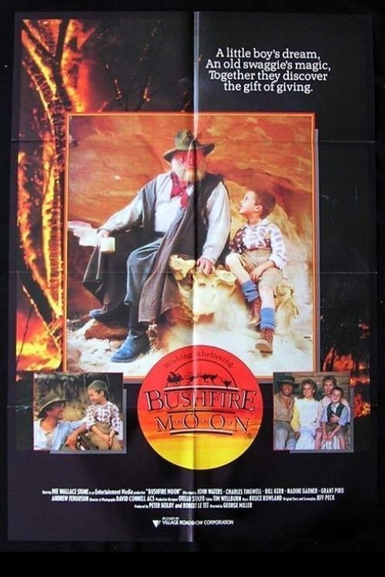 Poster of The Christmas Visitor